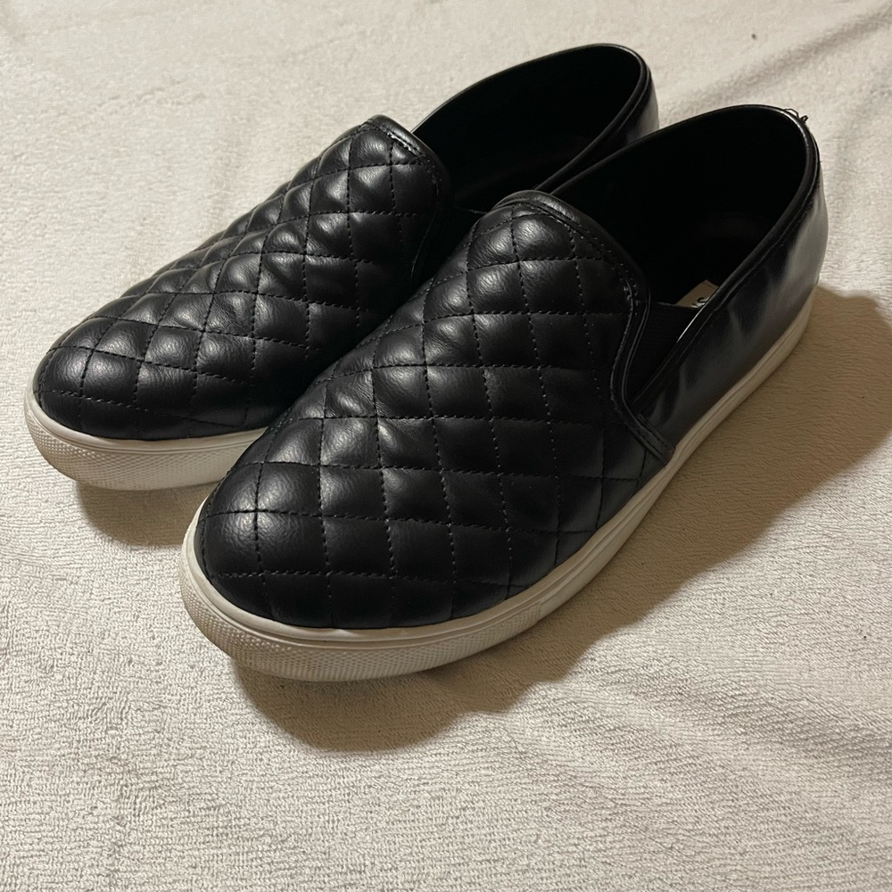 Steve Madden Ecentrcq